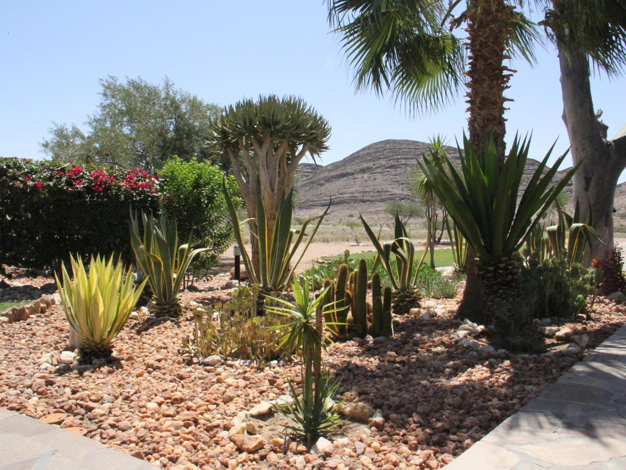 Rooisand Desert Ranch Chausib Стая снимка